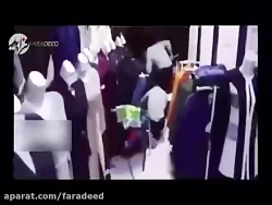 گیر افتادن شغال در مانتو فروشی سبزوار