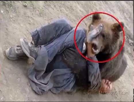 حمله حیوانات به انسان