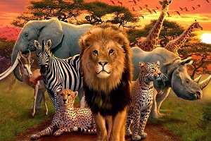 حیوان مرگبار