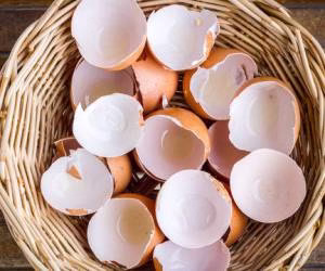 خواص-پوست-تخم-مرغ