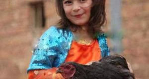 کشته شدن دنیا ویسی بر اثر ریزش دیوار مدرسه