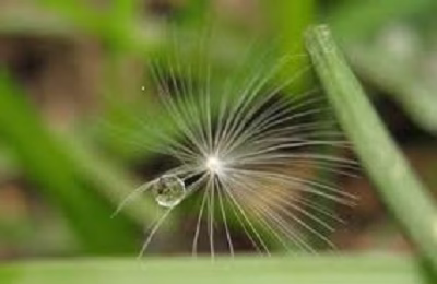 خداوند چه گناهانی را نمی بخشد