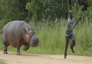 حمله حیوانات به انسان‌ها ,لحظات نفس‌گیر ,حیوانات وحشی