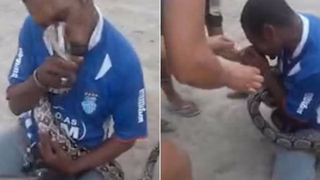 لحظه حمله ناگهانی مار به مارگیر! +فیلم