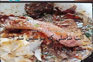 1479553534566-nazweb-ir