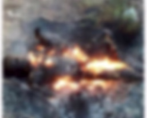 زنده سوزاندن دخترجوان