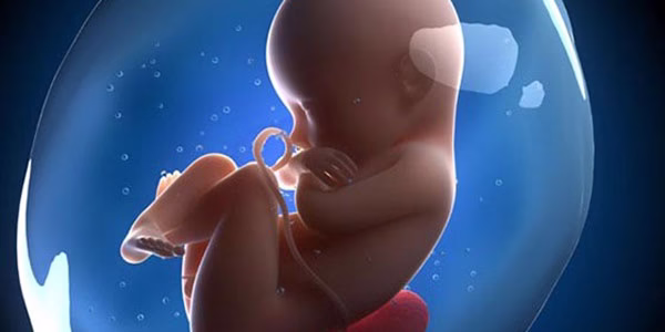 خوردن گوشت انسان