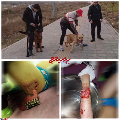 لواسان ، جولانگاه اراذل و اوباش و اقازاده‌ها و کله‌گنده‌ها...