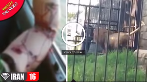 لحظه حمله حیوانات باغ وحش به مردم