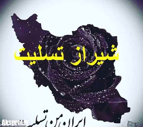 عکس پروفایل سیل شیراز