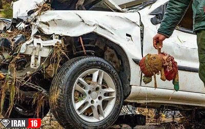 دختر بچه کشته شده در سیل شیراز