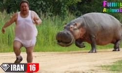 ۵۰ کلیپ دیدنی از لحظات خنده دار حیوانات