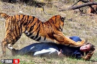 حمله حیوانات به انسان