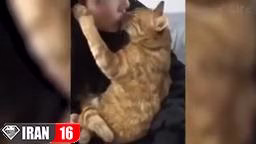 خنده دار ترین وجالب ترین کلیپ حیوانات خنده دار