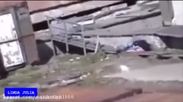 حمله حیوانات وحشی به انسان -هولناک و ترسناک