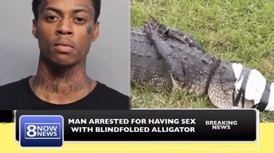 جفت گیری کروکودیل و مرد سیاه پوست در آمریکا