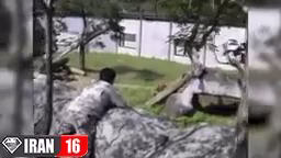 حمله حیوانات وحشی در باغ وحش +18 حوادث باغ وحش