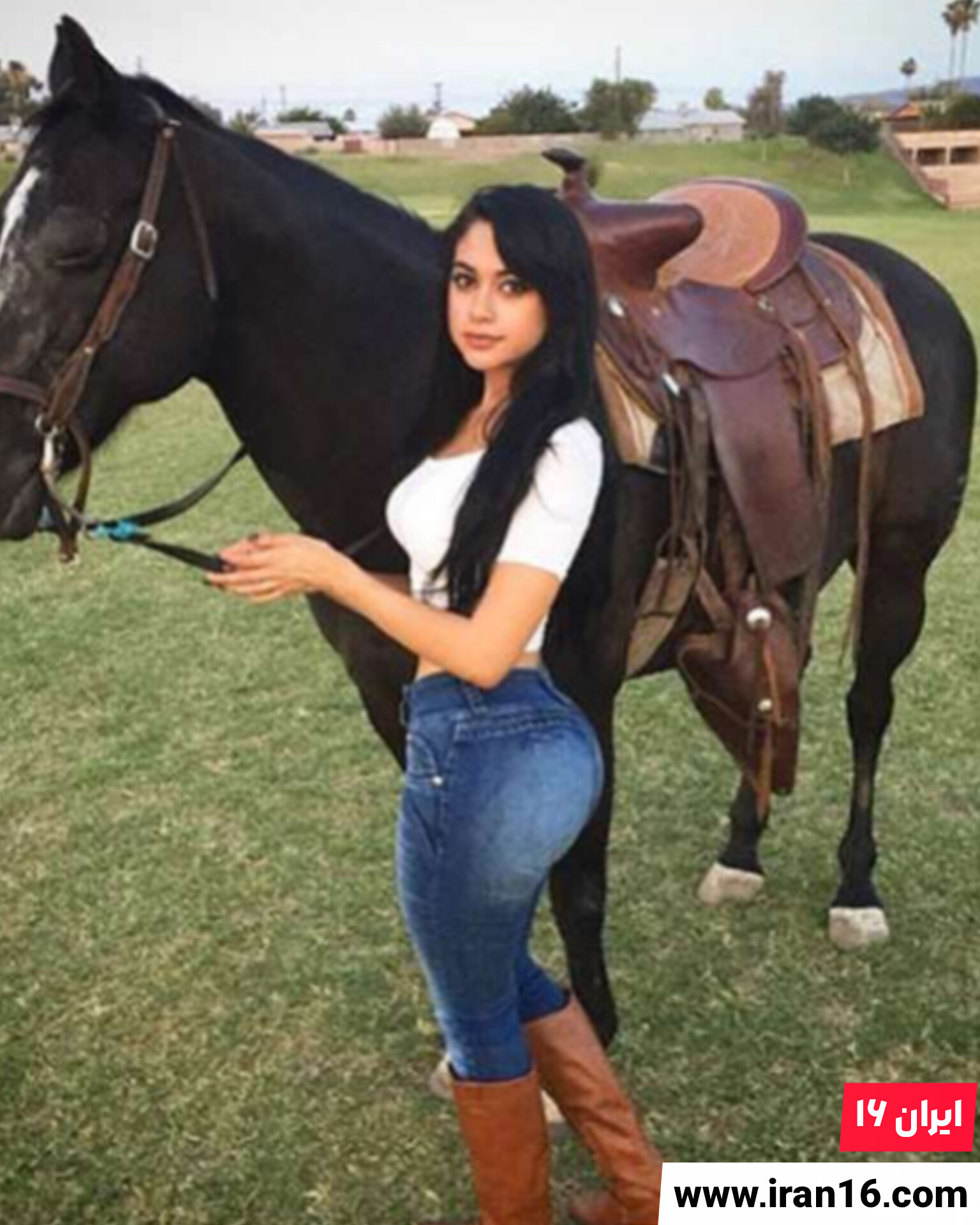 جایلین اوجیدا پورن‌استار
