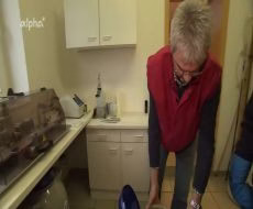 جفت گیری اسب – نمونه گیری اسپرم اسب