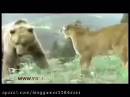 حیات وحش یا راز بقا ترسناک+18