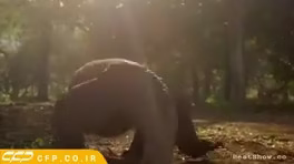 مستند حیات وحش (اژدهای کومودو)