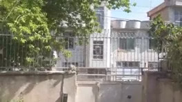 پرش بلند گربه