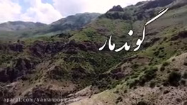 گوند مار ایرانی