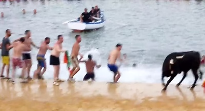 Angry cow's terrible attack on swimmers