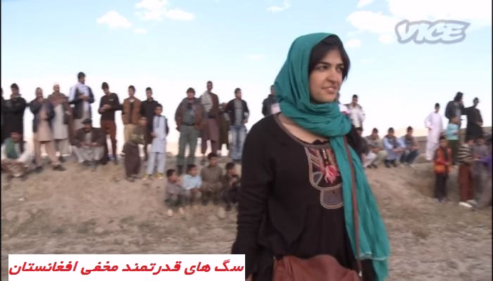 سگ های قدرتمند مخفی افغانستان