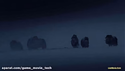 Animal Documentation (Hunting)