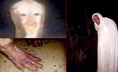 فیلمبرداری های واقعی از جن