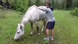 Interesting video of animal attack on humans