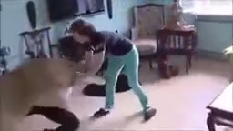 Terrible and surprise animal attack on humans