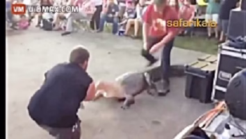 Predatory beasts attack humans