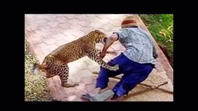 حمله حیوانات به انسان +18