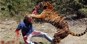 حمله سگ ها به انسان و حیوانات