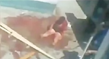 حمله حیوانات به انسان ها - بدون سانسور 18+