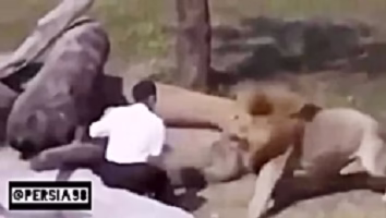 حمله حیوانات به انسان ها