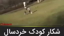 حمله حیوانات وحشی به انسان شکار کودک خردسال توسط عقاب