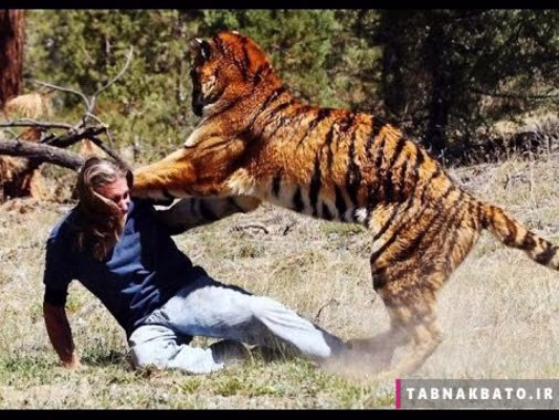 حمله حیوانات وحشی به انسان کلیپ جالب و دیدنی