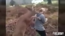 حمله خنده دار حیوانات به انسان