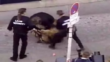 حمله شیر به انسان (ترسناک)