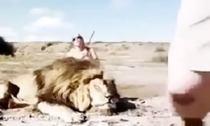Lion attack to human