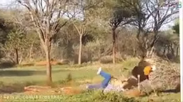 فیلم های حمله خیلی خفن حیوانات به انسان