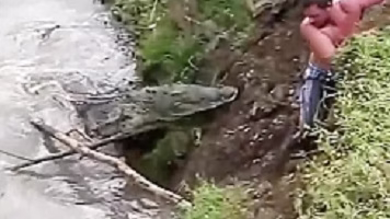 مجموعه ای دیدنی از حمله حیوانات به انسان