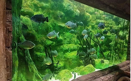 نمونه ای از آکواریوم های کوسه در سینما