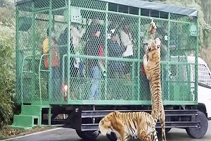 باغ وحشی که در آن حیوانات آزاد، اما انسان ها در قفس اند!