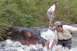 حمله خیلی خفن حیوانات وحشی به انسان ها +18