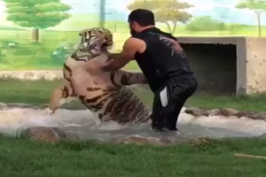 حوادث حمله حیوانات وحشی به انسان