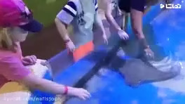 خنده دارترین اتفاقات بچه ها در باغ وحش